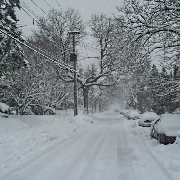 Supp! - Picture 3 of 9